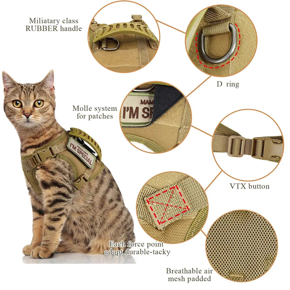 Get Your Pup Summer-Ready! ☀️🐾 Tactical Dog Harness Set for Small Dogs & Cats - Stylish Vest, Leash & Patches for Outdoor Fun! #PetLovers #SummerVibes