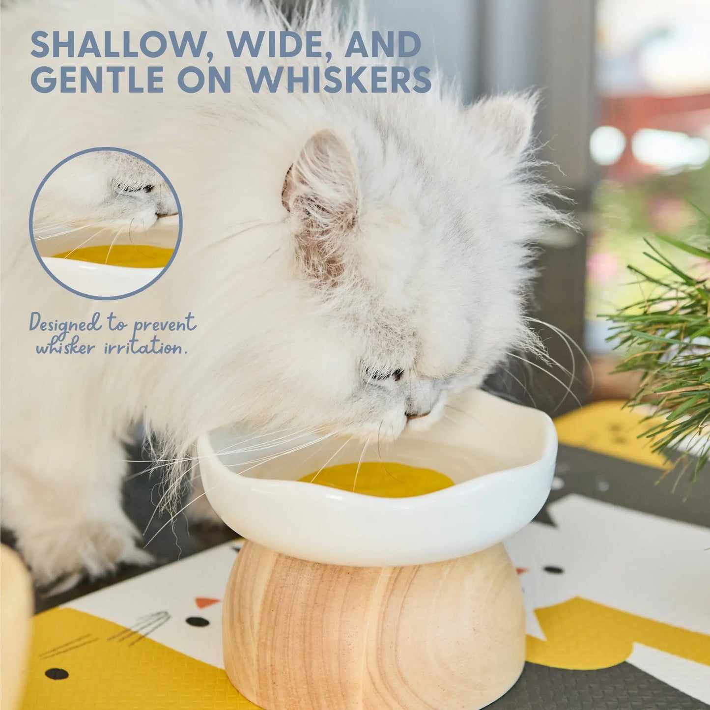 Charming Elevated Egg Cat Bowl for Stylish and Comfortable Dining