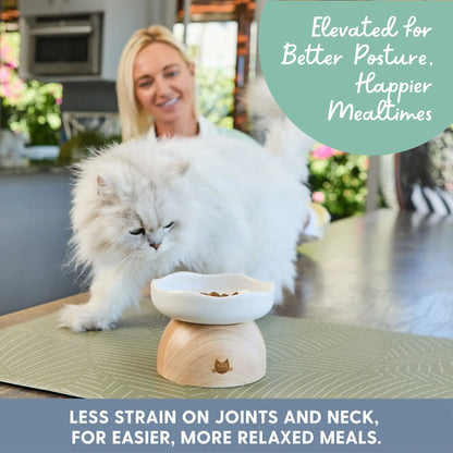 Charming Elevated Egg Cat Bowl for Stylish and Comfortable Dining