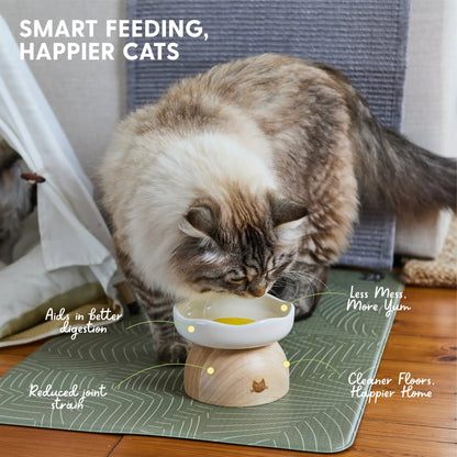 Charming Elevated Egg Cat Bowl for Stylish and Comfortable Dining