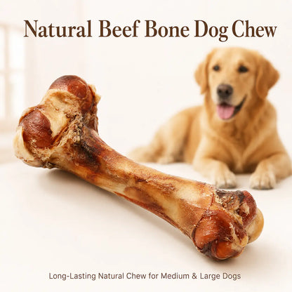 Give your pup the ultimate treat🌟 Natural Beef Bone Chew - Long-lasting, healthy, and perfect for medium & large dogs! 🐾#DogChew #HappyPup
