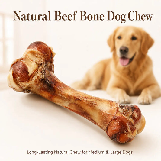 Give your pup the ultimate treat🌟 Natural Beef Bone Chew - Long-lasting, healthy, and perfect for medium & large dogs! 🐾#DogChew #HappyPup