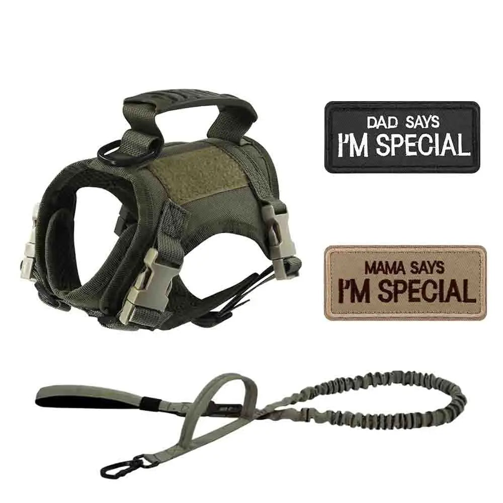 Get Your Pup Summer-Ready! ☀️🐾 Tactical Dog Harness Set for Small Dogs & Cats - Stylish Vest, Leash & Patches for Outdoor Fun! #PetLovers #SummerVibes