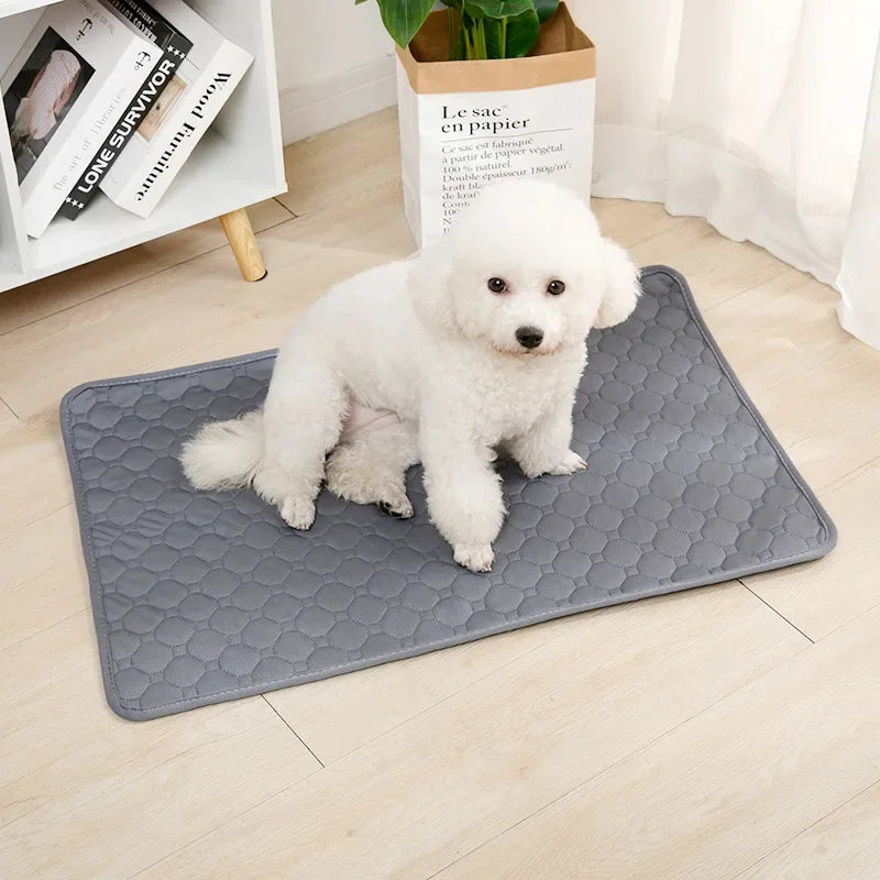 Ultimate Washable Pet Diaper Mat - Reusable, Absorbent, and Waterproof Training Pad for Dogs - Perfect for Home and Travel!