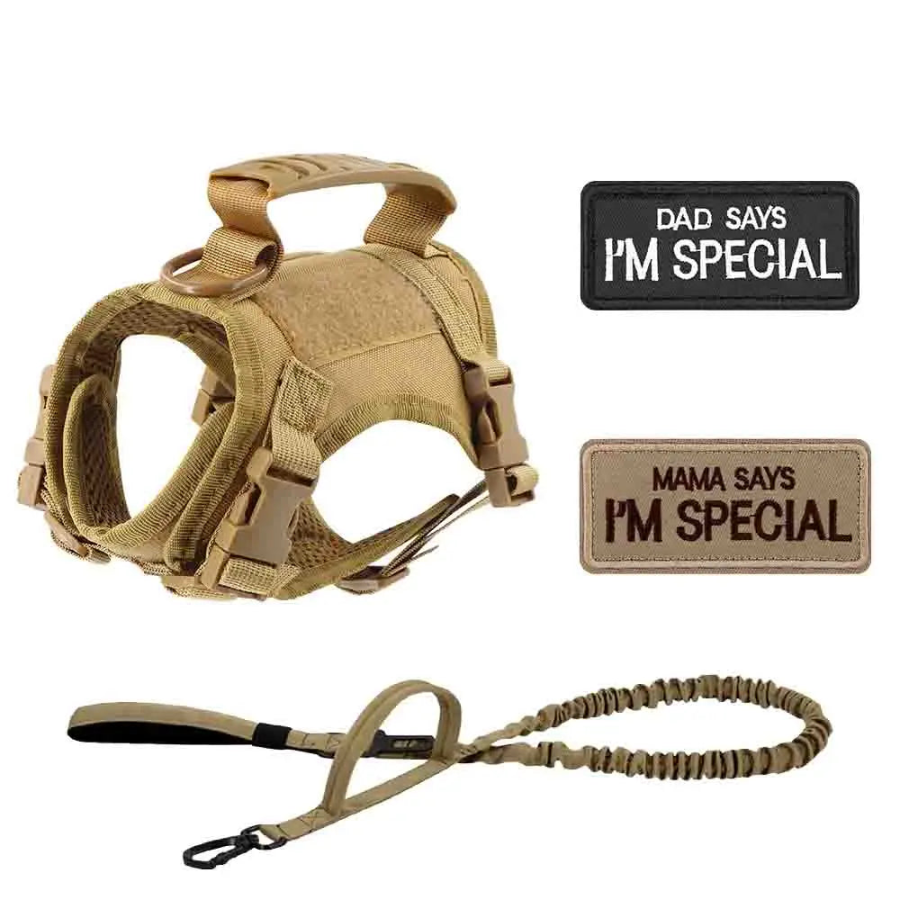 Get Your Pup Summer-Ready! ☀️🐾 Tactical Dog Harness Set for Small Dogs & Cats - Stylish Vest, Leash & Patches for Outdoor Fun! #PetLovers #SummerVibes