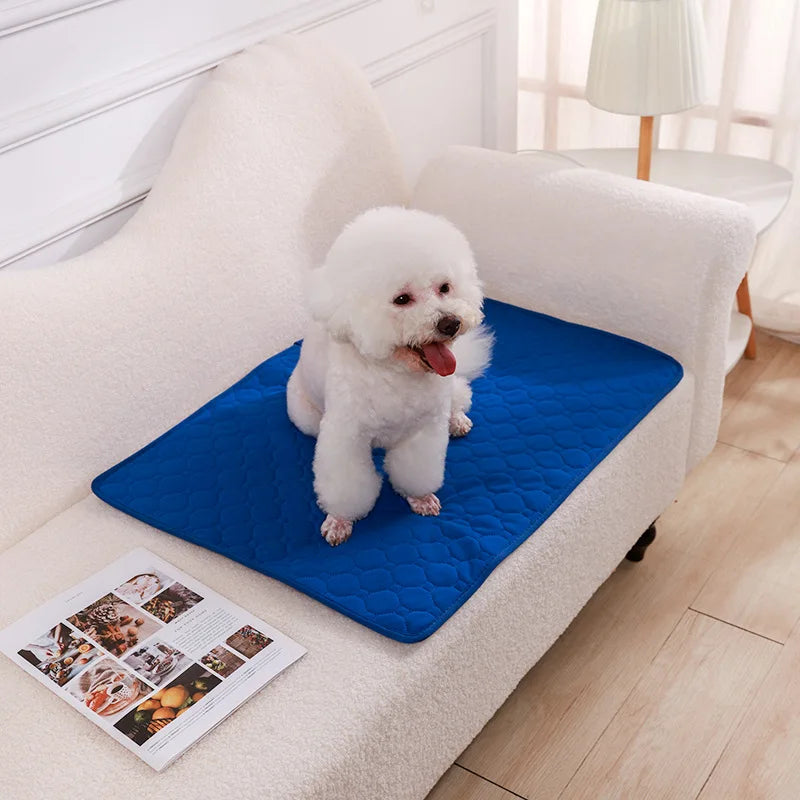 Ultimate Washable Pet Diaper Mat - Reusable, Absorbent, and Waterproof Training Pad for Dogs - Perfect for Home and Travel!