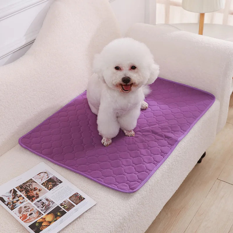Ultimate Washable Pet Diaper Mat - Reusable, Absorbent, and Waterproof Training Pad for Dogs - Perfect for Home and Travel!