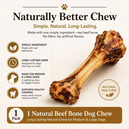 Give your pup the ultimate treat🌟 Natural Beef Bone Chew - Long-lasting, healthy, and perfect for medium & large dogs! 🐾#DogChew #HappyPup