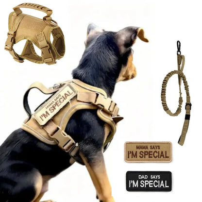 Get Your Pup Summer-Ready! ☀️🐾 Tactical Dog Harness Set for Small Dogs & Cats - Stylish Vest, Leash & Patches for Outdoor Fun! #PetLovers #SummerVibes