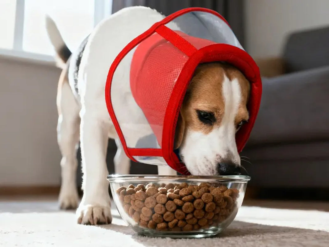 Say goodbye to licking with the Kuoser Soft Dog Cone! Perfect for post-surgery recovery, this breathable and comfy collar is adjustable for small, medium, and large pups. Keep your furry friend safe and cozy! 🐾💖