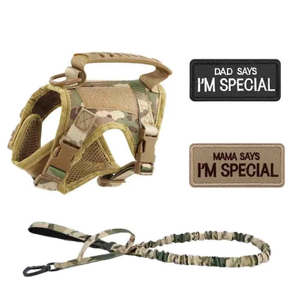 Get Your Pup Summer-Ready! ☀️🐾 Tactical Dog Harness Set for Small Dogs & Cats - Stylish Vest, Leash & Patches for Outdoor Fun! #PetLovers #SummerVibes