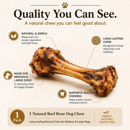 Give your pup the ultimate treat🌟 Natural Beef Bone Chew - Long-lasting, healthy, and perfect for medium & large dogs! 🐾#DogChew #HappyPup