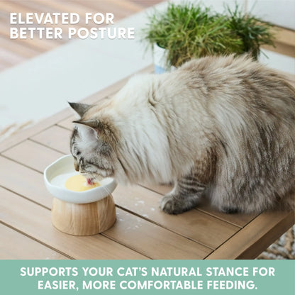 Charming Elevated Egg Cat Bowl for Stylish and Comfortable Dining