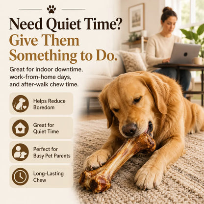 Give your pup the ultimate treat🌟 Natural Beef Bone Chew - Long-lasting, healthy, and perfect for medium & large dogs! 🐾#DogChew #HappyPup