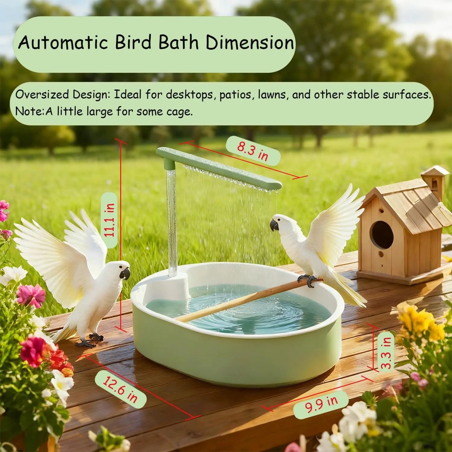 Transform Your Bird's Bath Time! 🐦💦 Automatic Parrot Shower + Fountain Fun for Parakeets & Conures! Perfect for Grooming & Playtime! 🛁✨