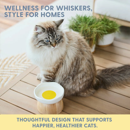 Charming Elevated Egg Cat Bowl for Stylish and Comfortable Dining