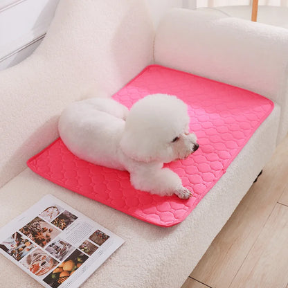 Ultimate Washable Pet Diaper Mat - Reusable, Absorbent, and Waterproof Training Pad for Dogs - Perfect for Home and Travel!